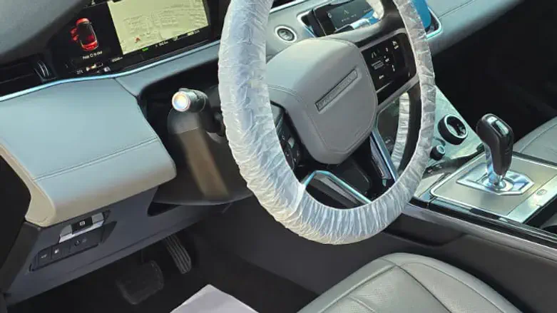 טופ דיטיילינג