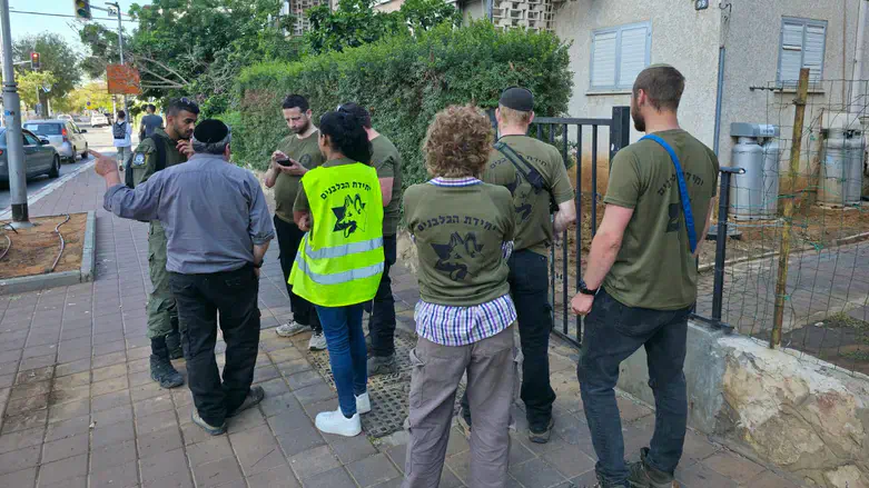 During the search