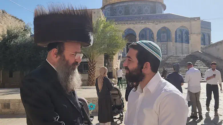 הרב אלבוים וסוכות בהר הבית