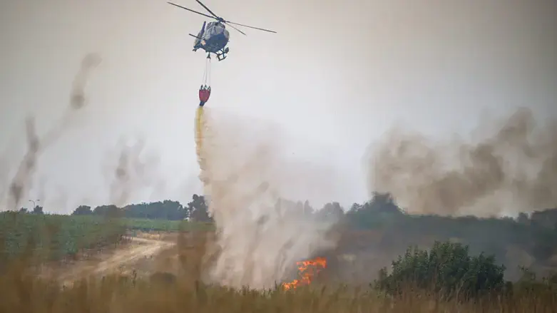Firefighting in the Jerusalem mountains