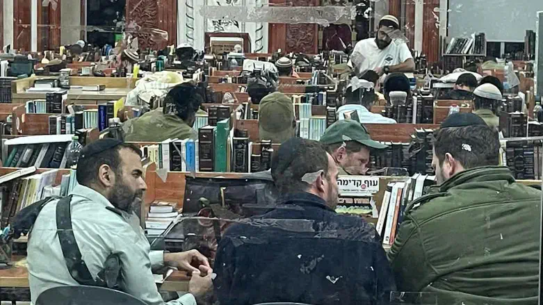 אבינועם אמונה בלימוד