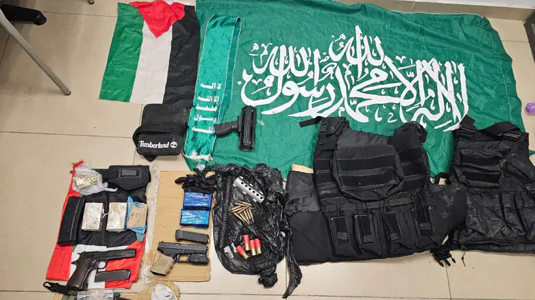 The weapons seized in the home