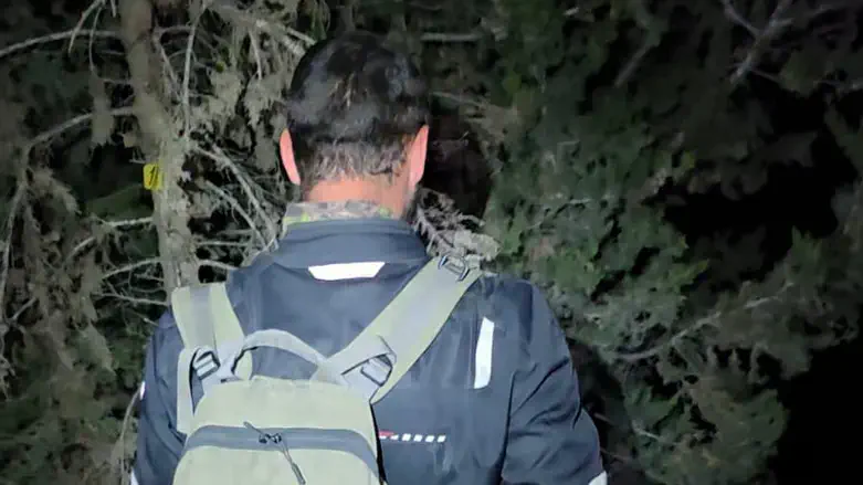 During the search