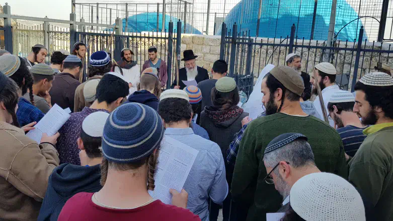 Rabbi Eliahu at Miron