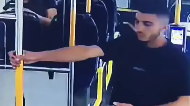 the suspect