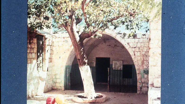 Joseph's Tomb