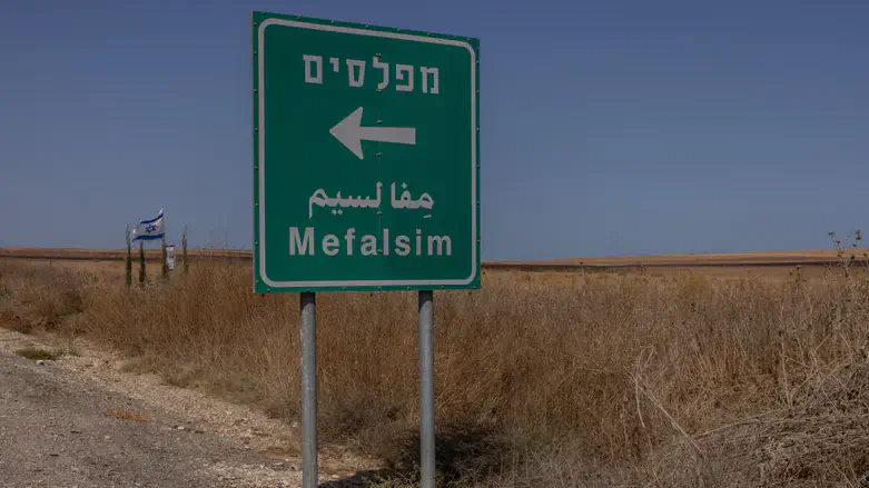 Mefalsim