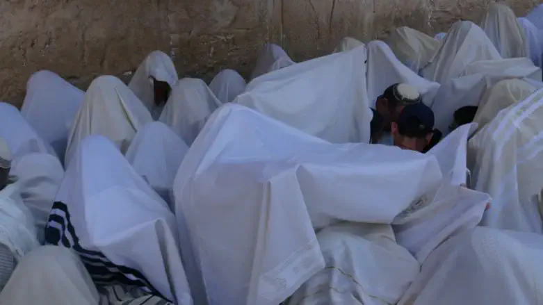 Kohanim perform blessing (file)