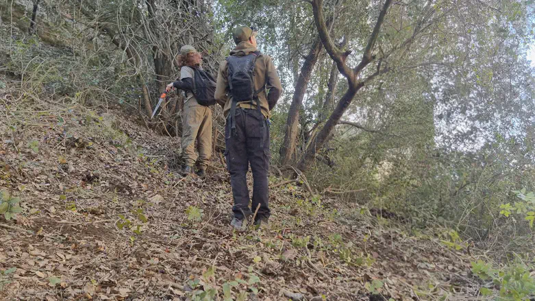 During the search