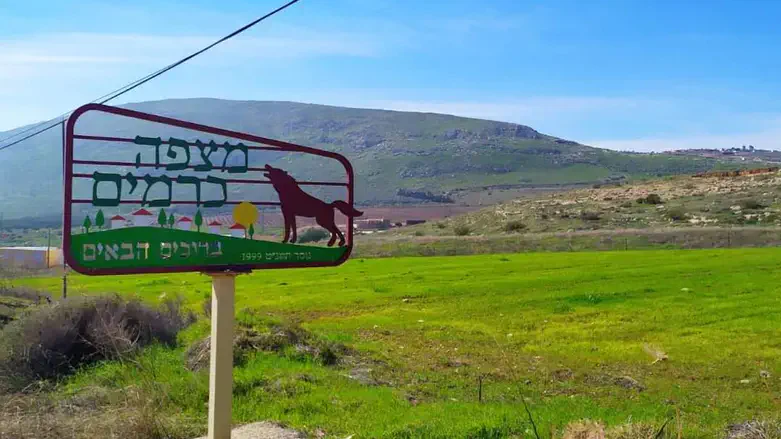 מצפה כרמים