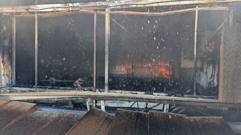 Chicken Coop - Ma’ayan Tzvi