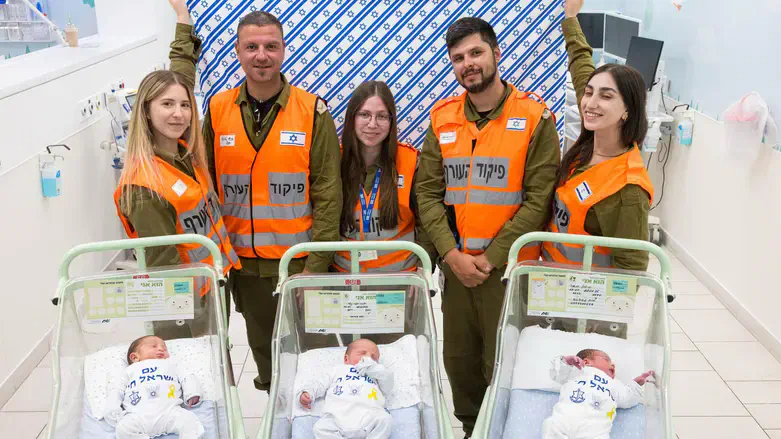 Младенцы в "Ассуте"