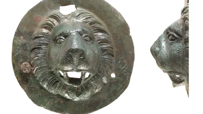 One of the lion heads uncovered at the Eyal Interchange