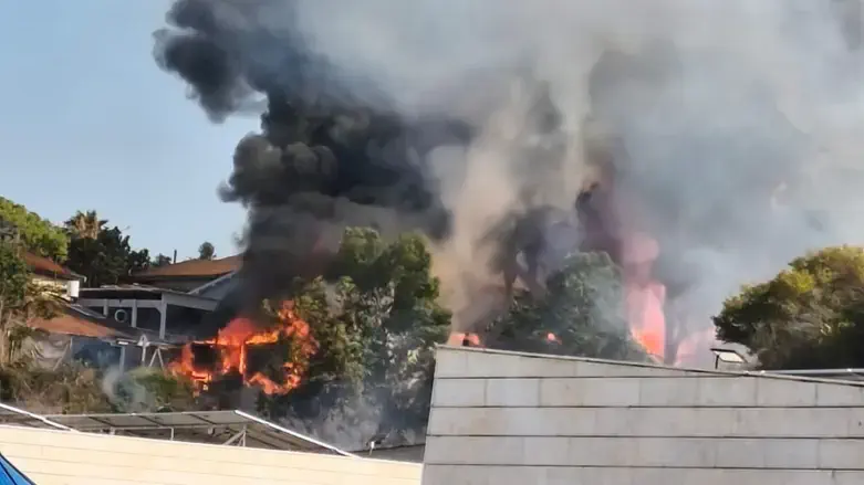 השריפה בנס ציונה