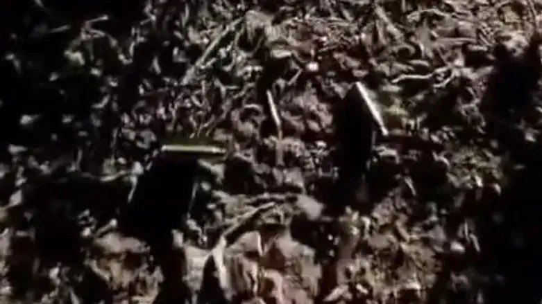 Shell casings found at the scene