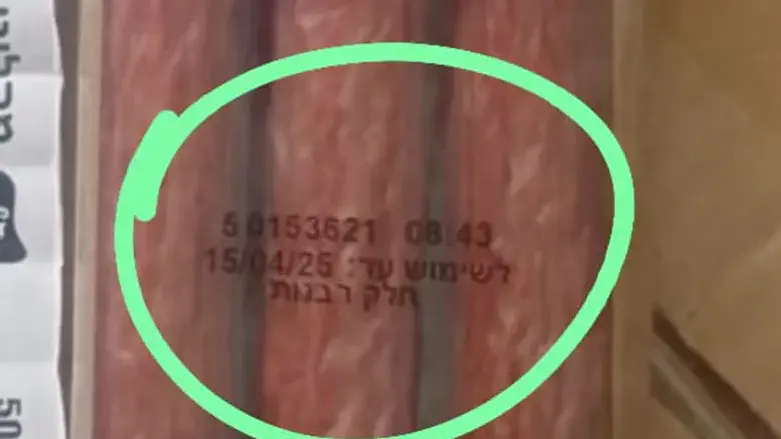 הקבנוס החלק של עוף טוב