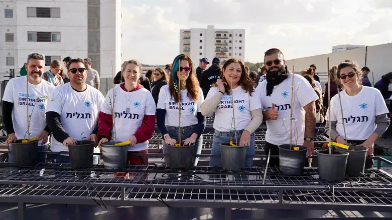 מתנדבי תגלית בפעילות חקלאית בישראל