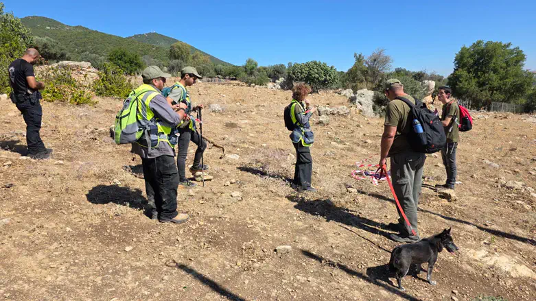 During the search