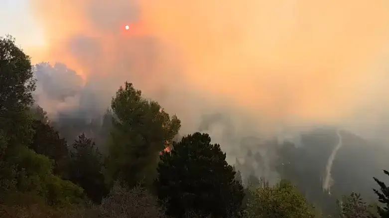 Forest fire in Israel, archive