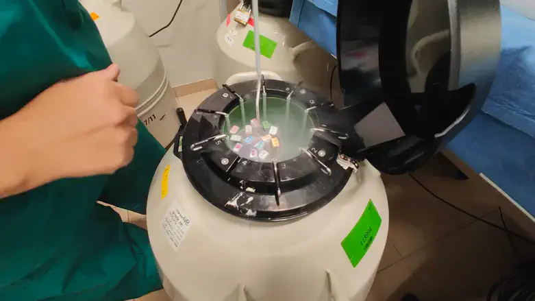 הליך הפריית ביציות חוץ גופית