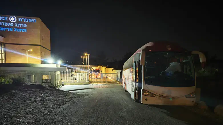 The bus