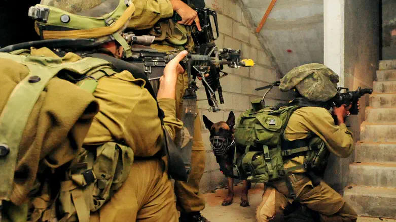 Soldiers