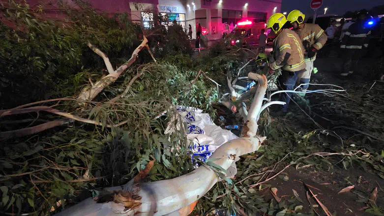 scene of the incident