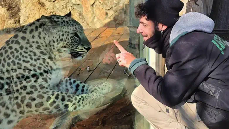 Uriel Nuri with one of the leopards
