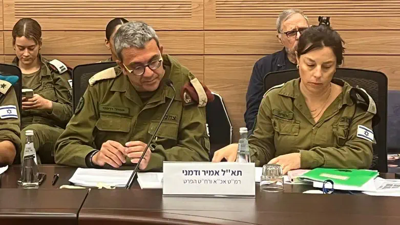 תא"ל אמיר ודמני