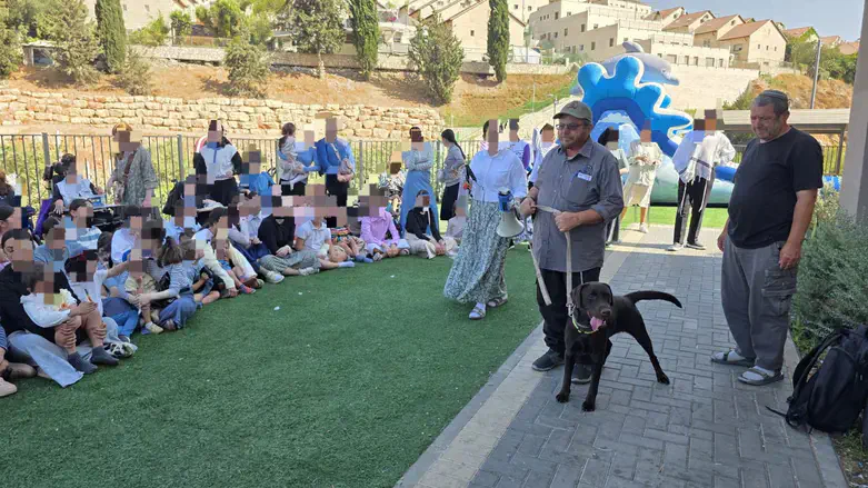 During the exhibition