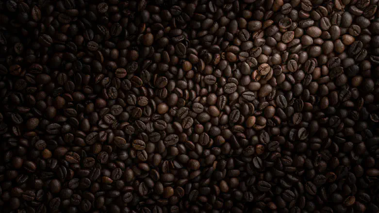 High quality Coffee beans