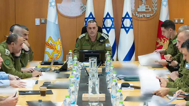 זמיר בהערכת מצב