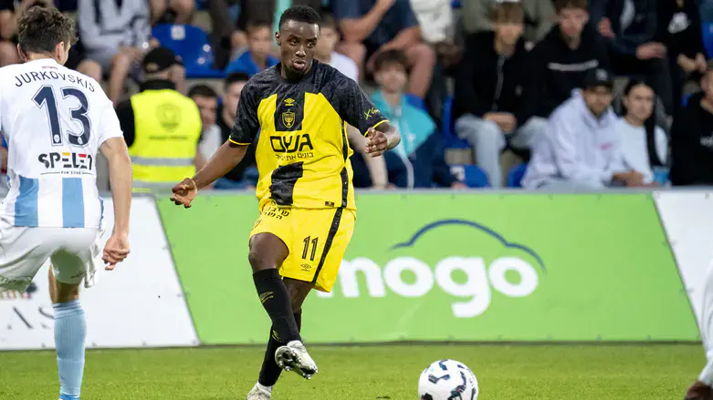 מוזי הערב. כבש שער שלא הספיק