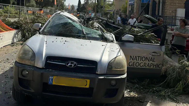 На месте падения дерева на автомобиль в Иерусалиме