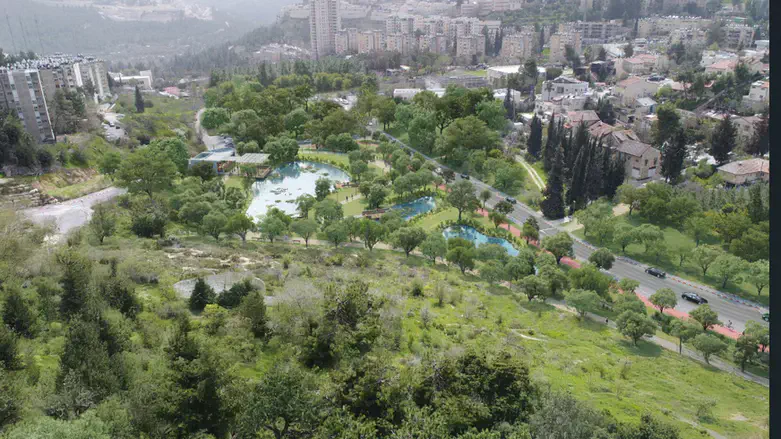 הדמיית פארק קק"ל והאגם