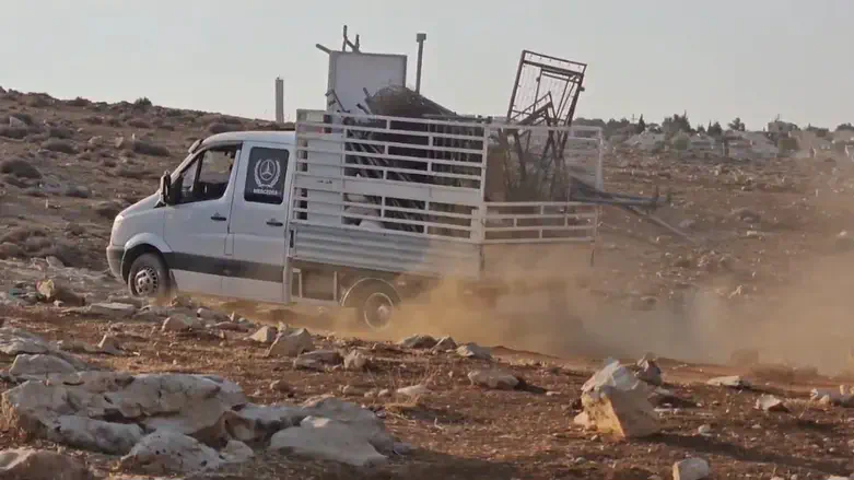 רועים, מגרשים ומנצחים