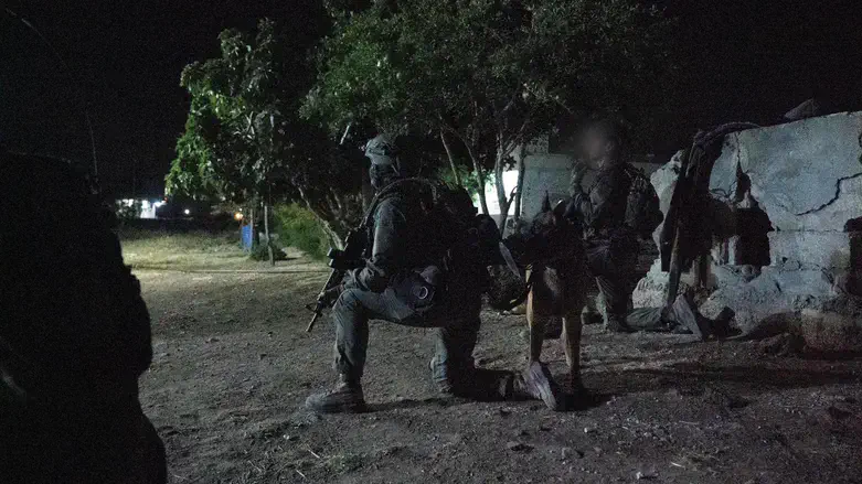 IDF soldiers in Syria (archive)