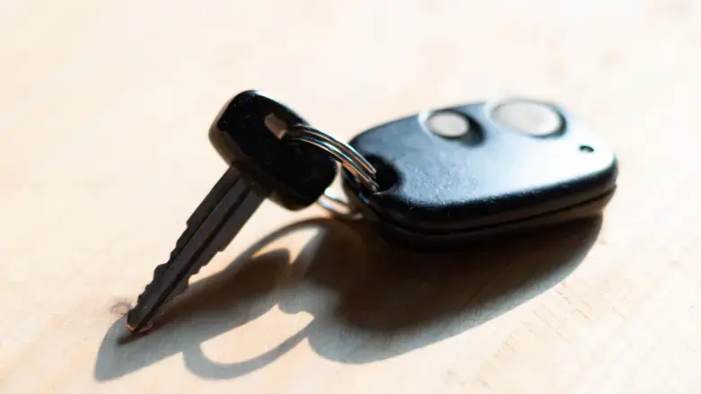 שחזור או שכפול?