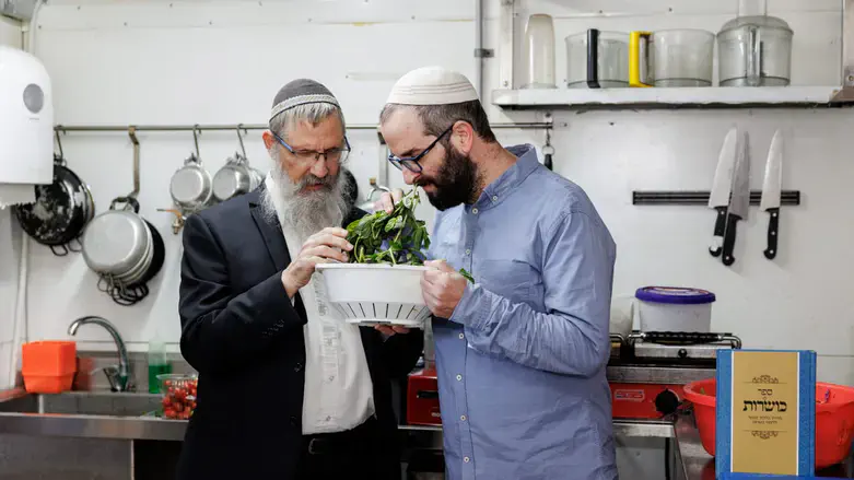 רבני כושרות