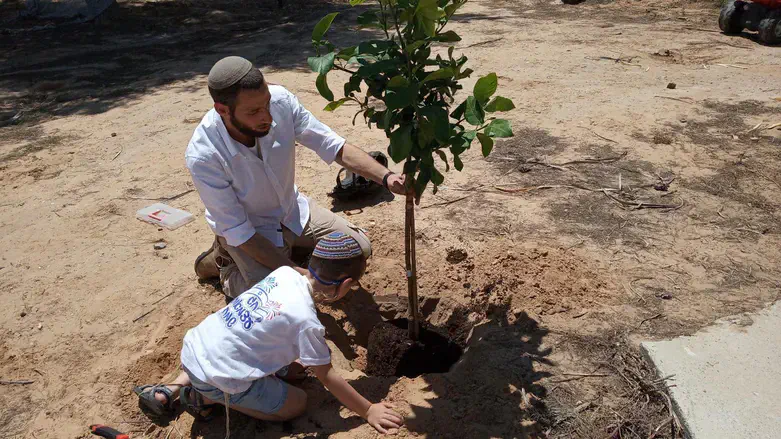 עמיחי וייצן הי"ד
