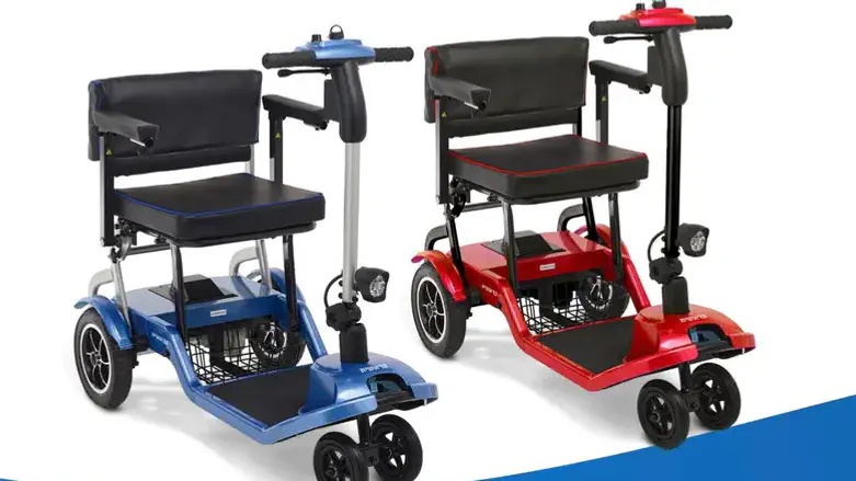 קלנועית בראשית