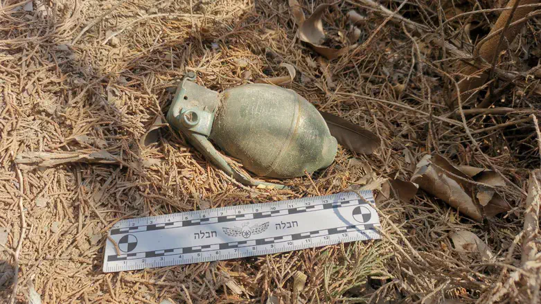 Найденная граната