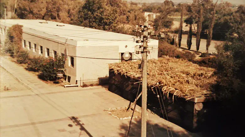 סוכה בקיבוץ נצרים