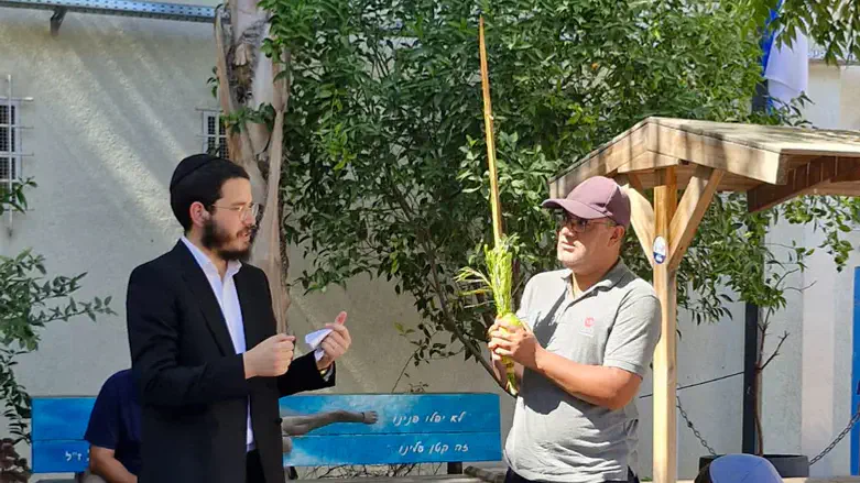 נטילת ארבעת המינים