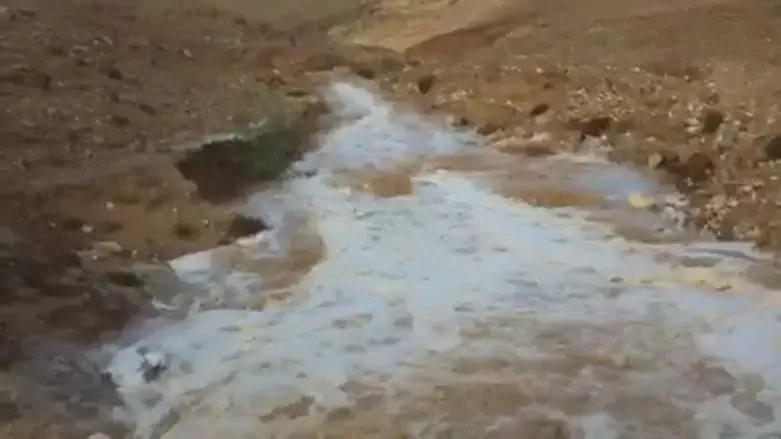 water flowing in Nachal Og in northern Israel