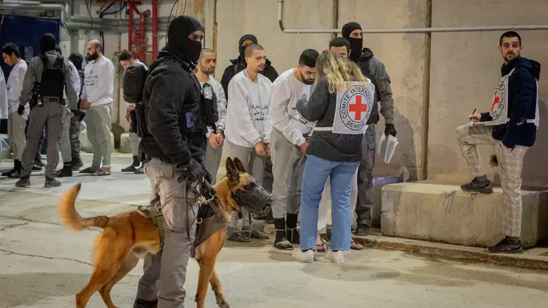 Члены Красного Креста встречаются в тюрьме с террористами