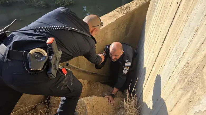 Полицейские ищут Нурит Яари