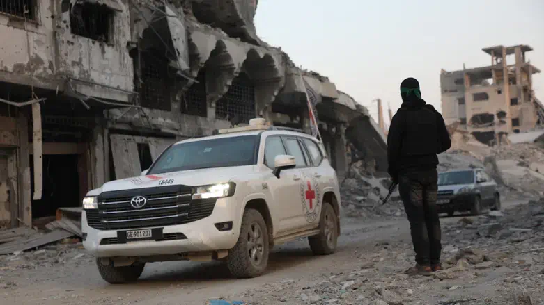 הצלב האדום לצד מחבל חמאס