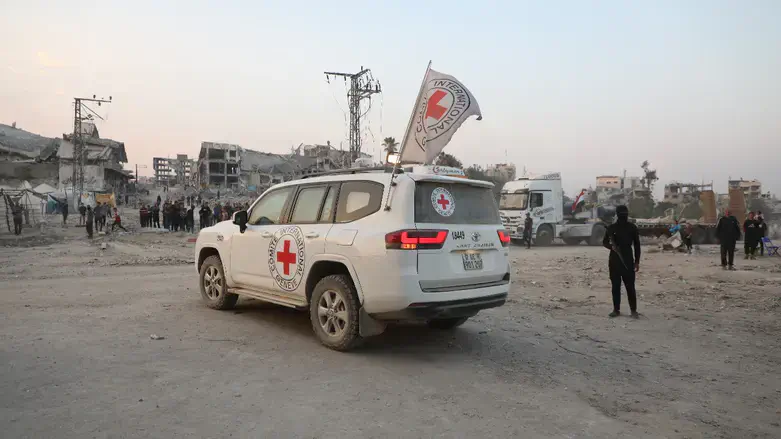 הצלב האדום לצד מחבלי חמאס