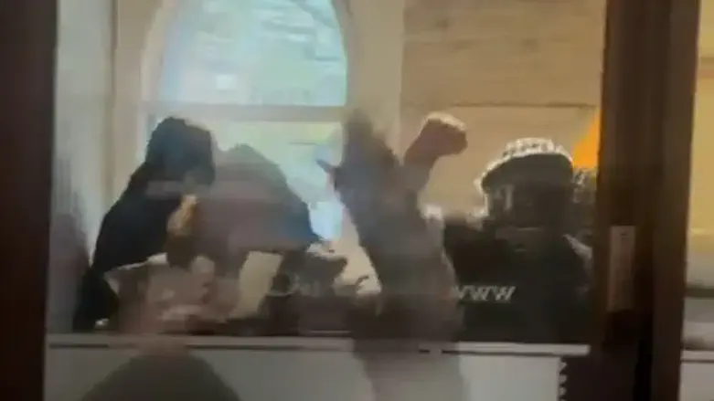 Anti-Israel rioters in Toronto